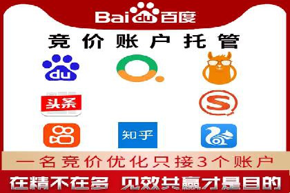 某电商企业如何通过百度竞价广告提升销售额